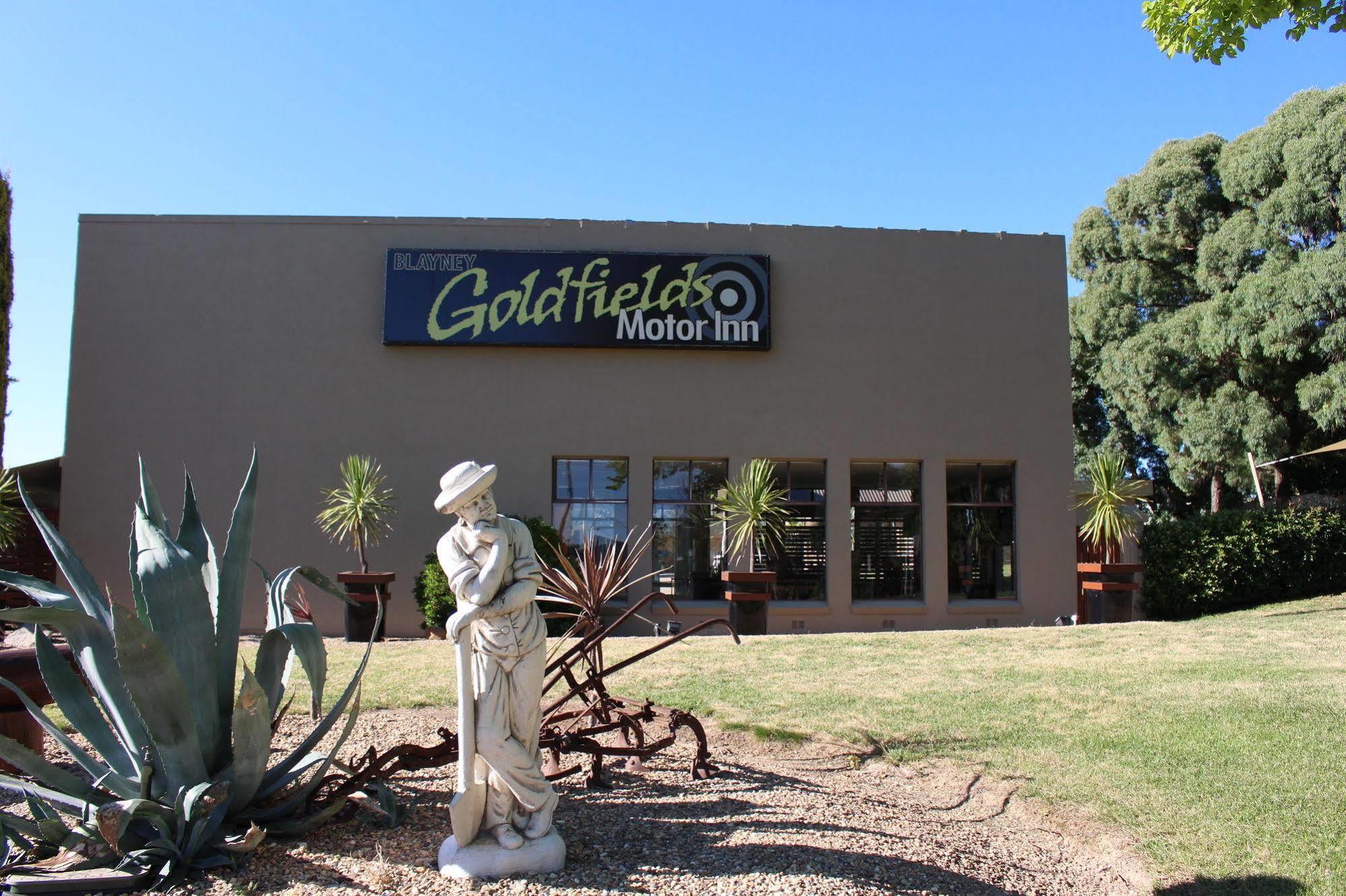 Goldfields Motel Blayney Екстериор снимка